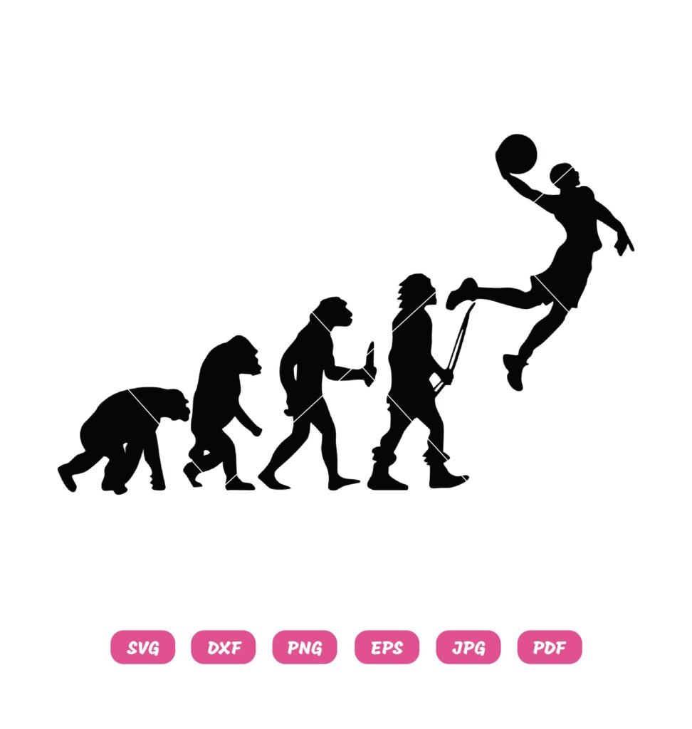 Evolution - Design Shop by AquaDigitizing