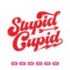 Stopid Cupid Text Valentine