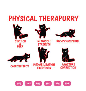 Cat Physical Therapurry