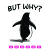 Penguin But Why SVG Funny Penguin